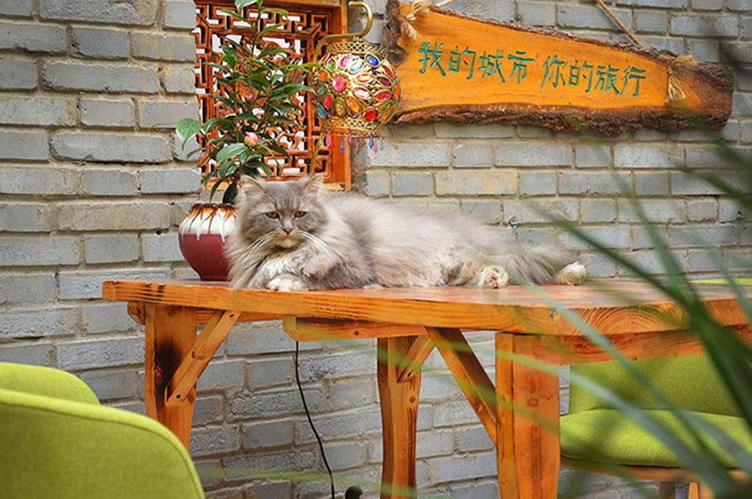 Luoyang Longmen Youth Hostel 외부 사진